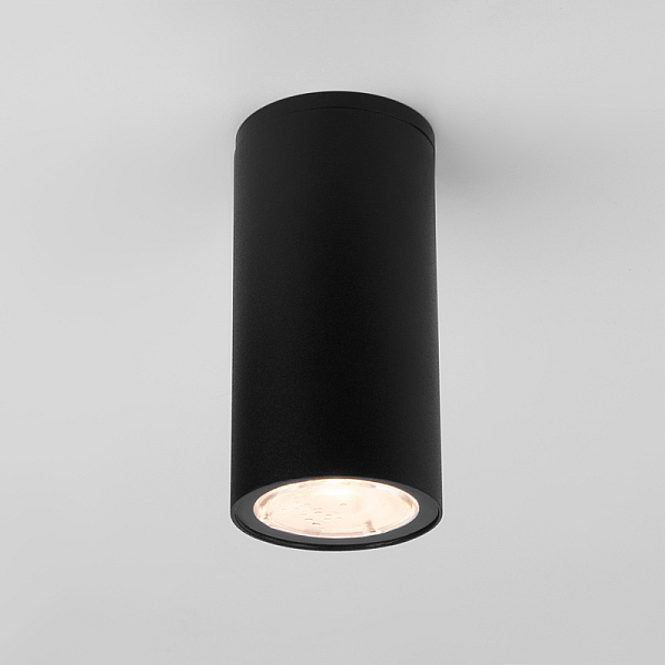 Уличный потолочный светильник Elektrostandard Light LED 4690389176562