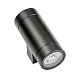 Уличный настенный светильник Lightstar Paro 351607