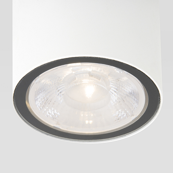 Уличный потолочный светильник Elektrostandard Light LED 4690389176579