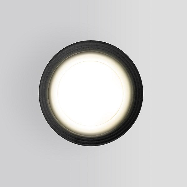 Уличный потолочный светильник Elektrostandard Light 4690389175909