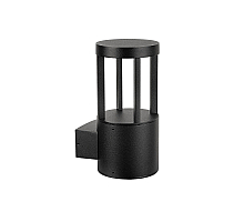 Уличный настенный светильник Arte Lamp Carcassa A4666AL-1BK