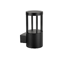 Уличный настенный светильник Arte Lamp Carcassa A4666AL-1BK