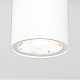 Уличный потолочный светильник Elektrostandard Light LED 4690389176555