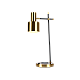 Настольная лампа Zortes DeskLight ZRS.1066.03