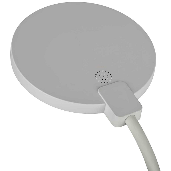 Настольная лампа ЭРА NLED-501-10W-W Б0059839