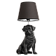 Настольная лампа Arte Lamp Bobby A1512LT-1BK