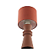 Настольная лампа Lumion Moderni 8131/1T