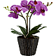 Настольная лампа Globo Flowerpower 28003