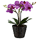 Настольная лампа Globo Flowerpower 28003