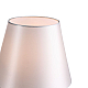 Настольная лампа ST Luce Opalus SL1403.304.01