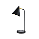 Настольная лампа Zortes DeskLight ZRS.1066.07