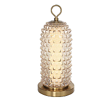 Настольная лампа ST Luce Saguaro SL6144.304.01