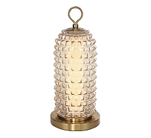 Настольная лампа ST Luce Saguaro SL6144.304.01
