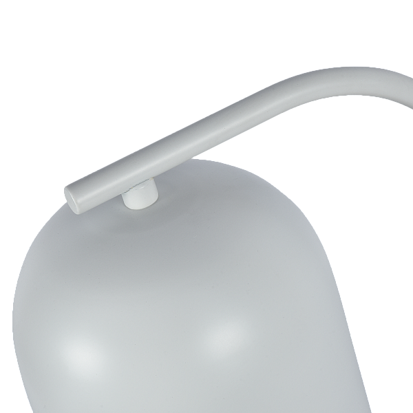 Настольная лампа Zortes DeskLight ZRS.1066.02