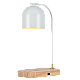 Настольная лампа Zortes DeskLight ZRS.1066.02