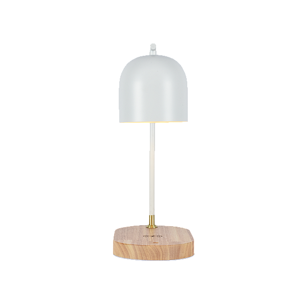 Настольная лампа Zortes DeskLight ZRS.1066.02