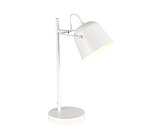 Настольная лампа Evoluce Blank SLE1805-504-01