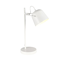 Настольная лампа Evoluce Blank SLE1805-504-01