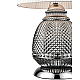 Настольная лампа Vele Luce Fiona VL5623N21