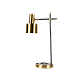 Настольная лампа Zortes DeskLight ZRS.1066.03