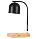 Настольная лампа Zortes DeskLight ZRS.1066.01