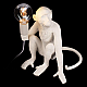 Настольная лампа Loft IT Monkey 10314T/A