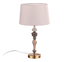 Настольная лампа Odeon Light Homi 5040/1T