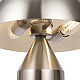 Настольная лампа Freya Eleon FR5218TL-02N