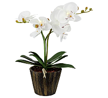 Настольная лампа Globo Flowerpower 28002