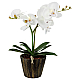 Настольная лампа Globo Flowerpower 28002
