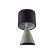 Настольная лампа Lumion Moderni 8132/1T