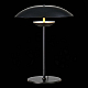 Настольная лампа ST Luce ARMONICO SL6502.404.01