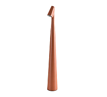 Настольная лампа Arte Lamp Fusion A3283LT-2BR