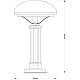 Настольная лампа Kutek Decor DEC-LG-1 (P)