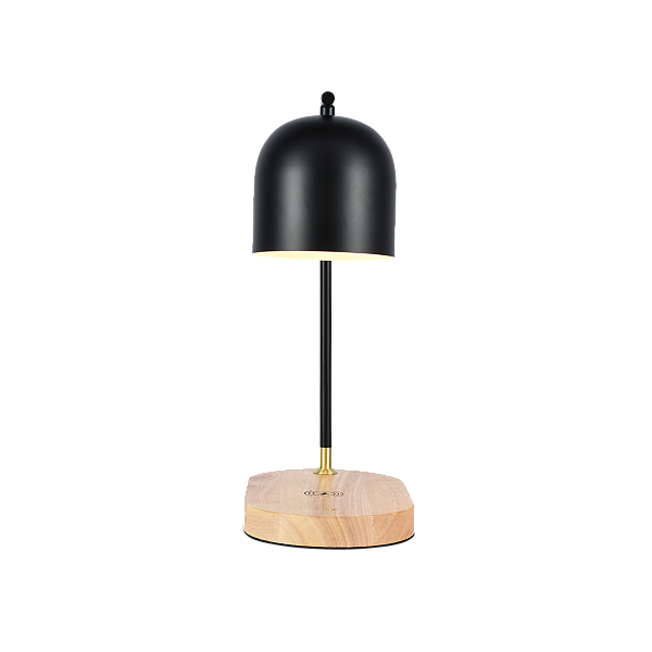 Настольная лампа Zortes DeskLight ZRS.1066.01