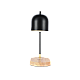 Настольная лампа Zortes DeskLight ZRS.1066.01