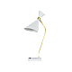 Настольная лампа Zortes DeskLight ZRS.1066.05