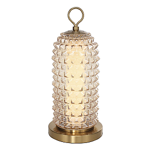 Настольная лампа ST Luce Saguaro SL6144.304.01