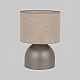 Настольная лампа TK Lighting 16195 Tami a072564
