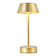 Настольная лампа Crystal Lux Santa LG1 Gold