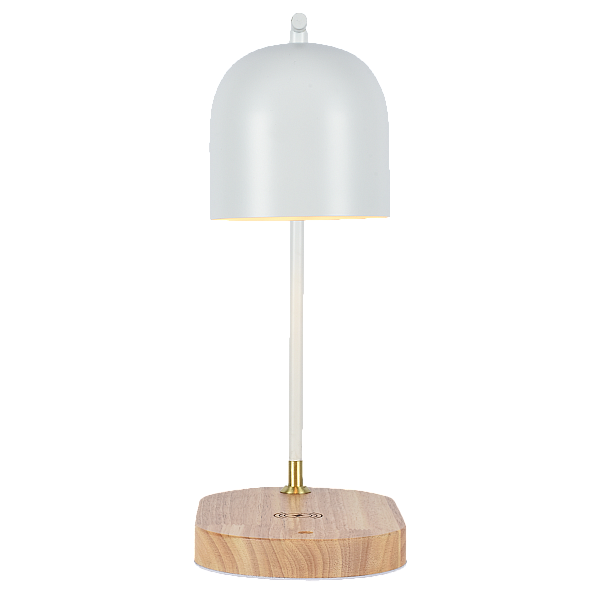 Настольная лампа Zortes DeskLight ZRS.1066.02