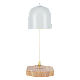 Настольная лампа Zortes DeskLight ZRS.1066.02