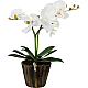 Настольная лампа Globo Flowerpower 28002