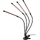 Светильник для растений Эра FITO-40W-АLED-RaL Б0068288