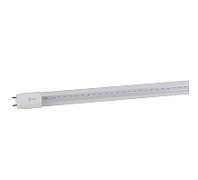 Фитолампа для растений Эра FITO-18W-RB-Т8-G13-NL Б0042990