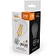 Светодиодная филаментная лампа Gauss Basic Filament Е27 21W 2700К 40712112