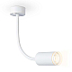 Бра Ambrella light Wallers FW2469