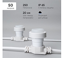 Гирлянда Белт-Лайт Laitcom (LTC) BL50m/250L-8