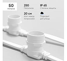 Гирлянда Белт-Лайт Laitcom (LTC) BL50m/250L-8-P