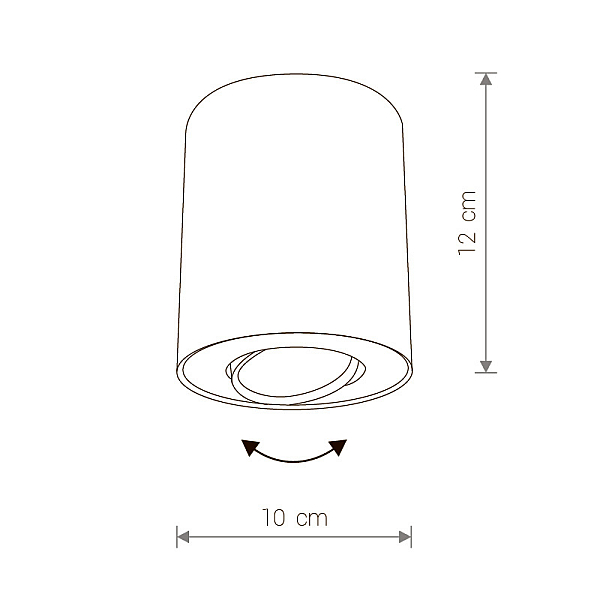 Карданный светильник Kanlux DAGO POWER LED DLP-10 8900